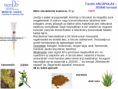 /album/fenykepgaleria/upload3272013103131193-21-meli-png/